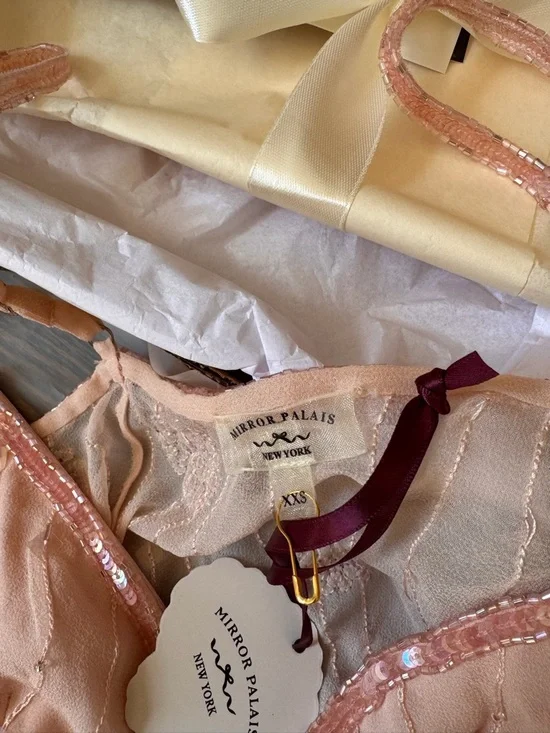 Mirror Palais Beaded Pink Sheer Embroidered Camisole - Picture 3 of 5